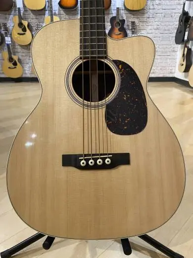 BC-16E Acoustic/Electric Bass with Case 2